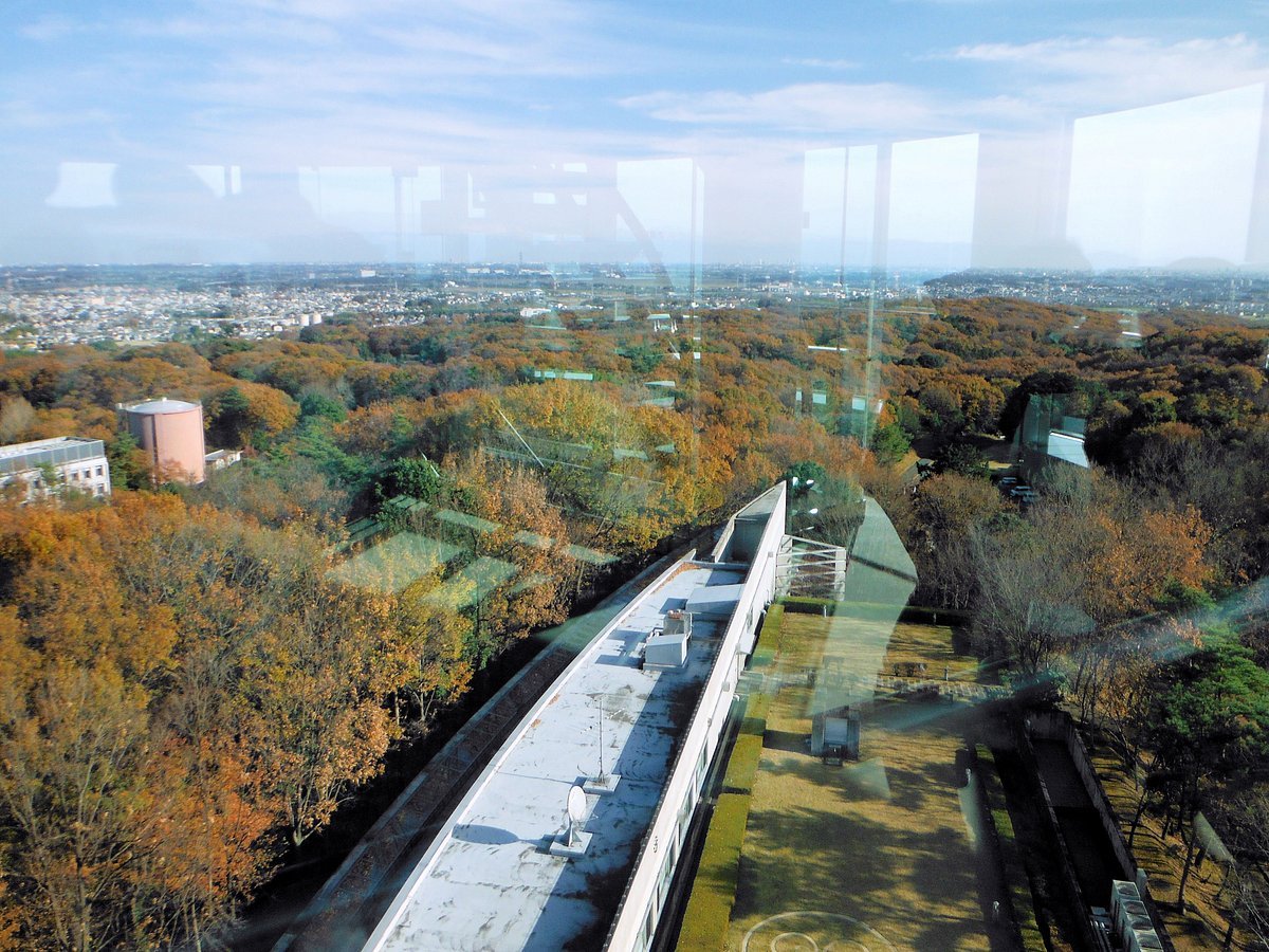 🕊️ 사이타마 평화 박물관 (사이타마 피스 뮤지아무) 이미지 5